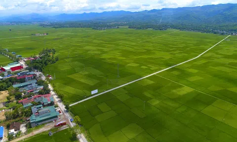 Điện Biên phát triển sản phẩm nông nghiệp đặc trưng