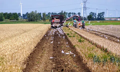 Mô hình hợp tác cứu giúp các trang trại nhỏ ở Mỹ