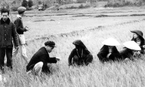 Lại nói về ông Kim Ngọc