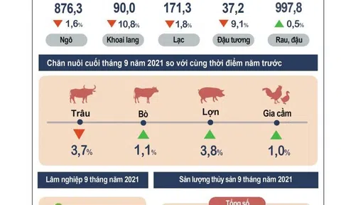 Ngành nông, lâm, thủy sản khẳng định vai trò là trụ đỡ của nền kinh tế trong đại dịch