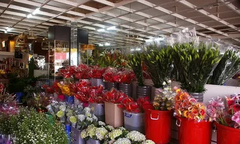 Thị trường quà tặng ngày phụ nữ Việt Nam 20/10