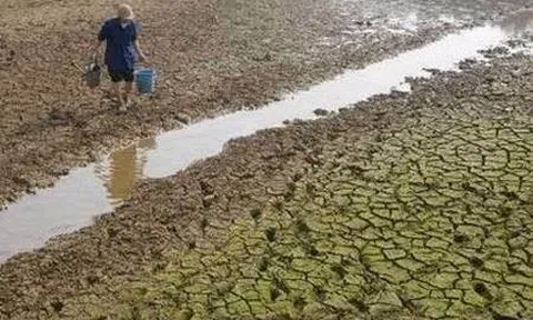 Đồng bằng sông Cửu Long trước thiên tai nhân họa