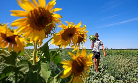 Kinh tế xanh: Hiện thực và triển vọng ở nước Nga