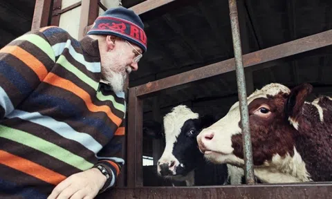 Tình yêu làm đất lạ hóa quê hương