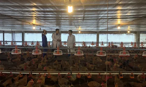 Fago 4.0 giúp nông dân bứt phá