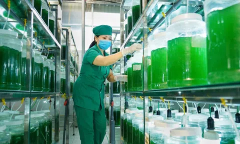 Sản phẩm xanh, sạch, công nghệ cao  trên đất Quỳnh Lưu – Nghệ An.