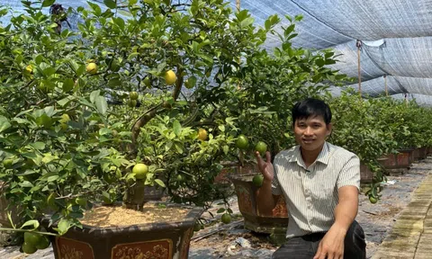 Nguyễn Hữu Hà - Tỷ phú từ cây chanh