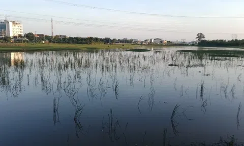 Nghệ An:  Nhiều "điểm mờ" trong thu hồi đất dân, phân nền đấu giá?