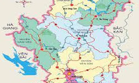 Liên kết sản xuất và tiêu thụ nông sản chủ lực ở Tuyên Quang