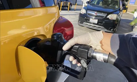 Động thái mới của Nhật Bản nhằm ứng phó giá dầu biến động mạnh