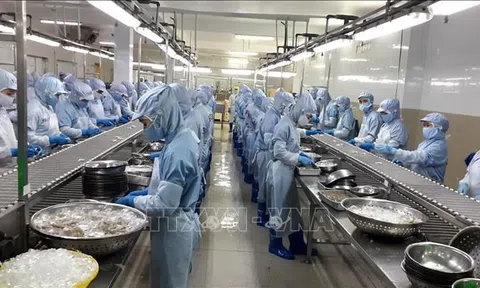 Xuất khẩu nông sản, thủy sản của Hàn Quốc vượt mốc 10 tỷ USD