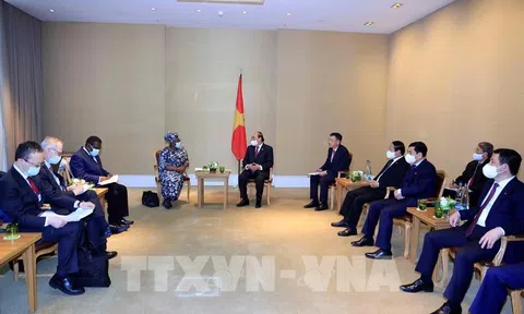 Việt Nam tăng cường hợp tác với WTO