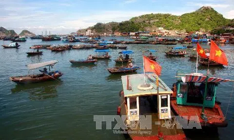 Chính sách kinh tế mới có hiệu lực từ tháng 12/2021