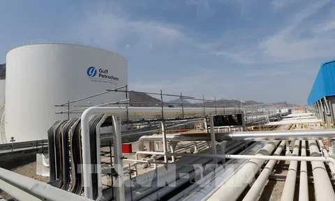 UAE khẳng định tuân thủ hạn ngạch của OPEC+