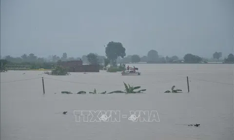 Nông nghiệp Gia Lai thiệt hại nặng do mưa lũ