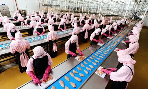 Lợi ích kép từ kinh tế tuần hoàn