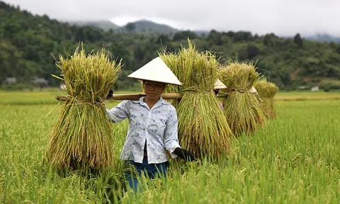 Mô hình sinh kế thích ứng với biến đổi khí hậu và nguồn nước