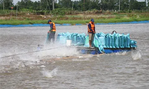 Xuất khẩu nông, lâm, thủy sản sẽ vượt xa mục tiêu 44 tỷ USD