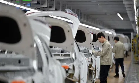 Hàn Quốc: Doanh số ô tô nhập khẩu tháng 11/2021 giảm mạnh