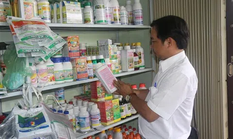 Nông dân xuống giống vụ Đông Xuân với nỗi lo giá vật tư tăng