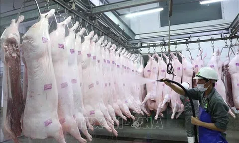 Trung Quốc là thị trường nhập khẩu thịt lớn nhất của Việt Nam