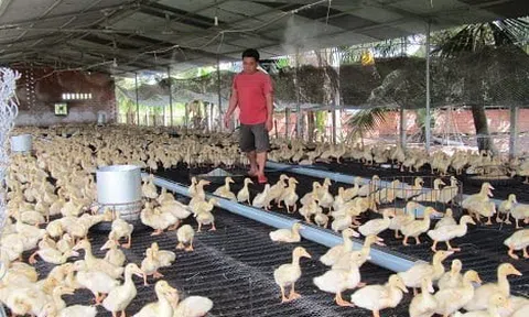 Thoát nghèo nhờ phát triển kinh tế trang trại tổng hợp