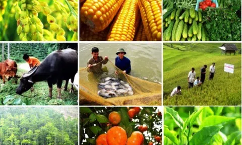 Việt Nam - Lào thúc đẩy hợp tác phát triển nông lâm nghiệp