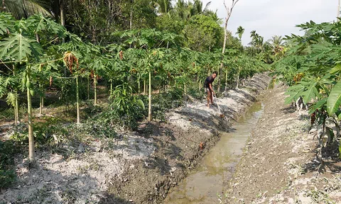 Tiền Giang chủ động nguồn nước tưới ứng phó với hạn, mặn