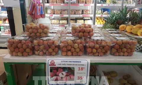 Vải đóng hộp của Việt Nam lần đầu tiên lên kệ hệ thống siêu thị tại Pháp