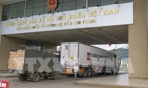 Hướng tới xuất khẩu chính ngạch để hạn chế rủi ro