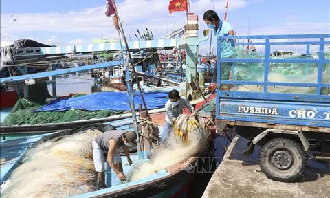 Khôi phục chuỗi cung ứng, xúc tiến xuất khẩu nông, thủy sản sau dịch COVID-19