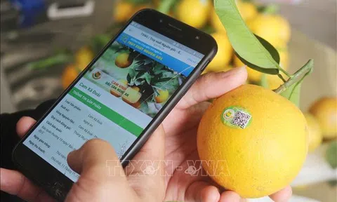 Đưa nông sản lên các sàn thương mại điện tử