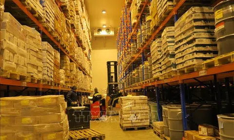 Bất động sản kho lạnh dự báo tăng trưởng 12%/năm