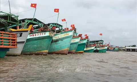 Khắc phục "thẻ vàng" IUU: Giám sát chặt hành trình tàu cá rời cảng