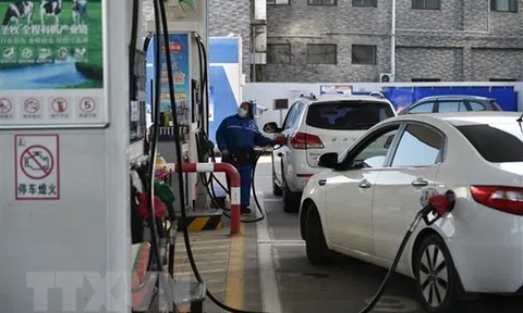 Chuỗi cung ứng của Australia có nguy cơ gián đoạn do thiếu urê