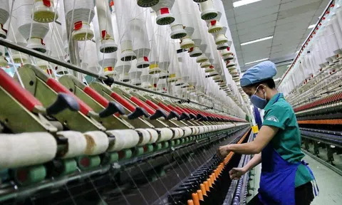 Không bỏ lỡ cơ hội đón sóng đầu tư mới