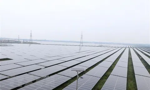 Năng lượng tái tạo và điện khí “lên ngôi”