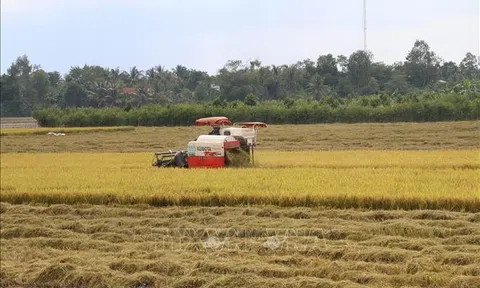 Tiền Giang: Xây dựng chuỗi giá trị nông sản hàng hóa