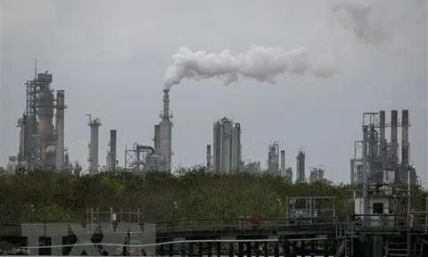 Lượng khí thải của các công ty sản xuất thịt và bơ sữa lớn nhất châu Âu tiếp tục tăng