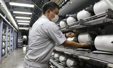 Doanh nghiệp sợi đón sóng tăng trưởng