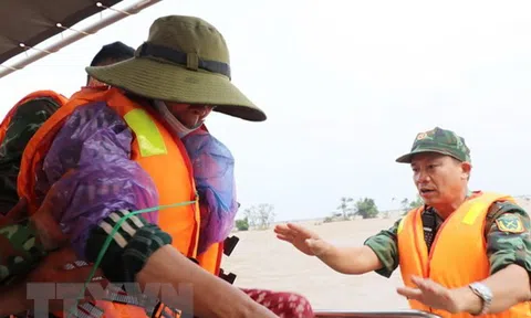 Phú Yên khôi phục sản xuất nông nghiệp sau lũ lịch sử