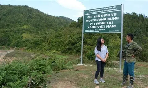 Hiệu quả từ chính sách dịch vụ môi trường rừng