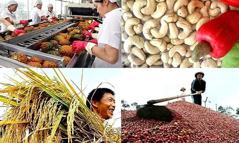 Giá trị xuất khẩu nông, lâm, thủy sản của Nhật Bản lần đầu tiên vượt 8,7 tỷ USD