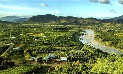 Tạo nền móng thúc đẩy vùng Tây Nguyên