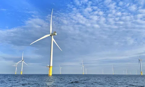 Để điện gió ngoài khơi trở thành nguồn lực chuyển dịch năng lượng quốc gia
