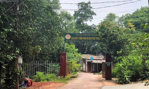 Thái Nguyên nâng cao hiệu quả quản lý, bảo vệ rừng