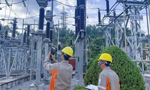 Việt Nam: Dư địa hàng nghìn tỷ đồng