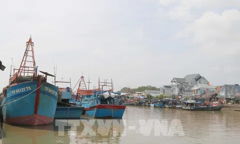 Trà Vinh: "Trải thảm" thu hút đầu tư vào kinh tế biển