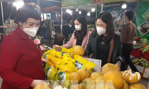 Kết nối sản xuất, tiêu thụ nông sản các tỉnh phía Bắc