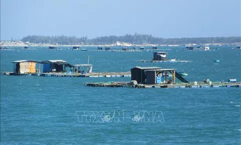 Tạo nền tảng cho phát triển nghề nuôi biển